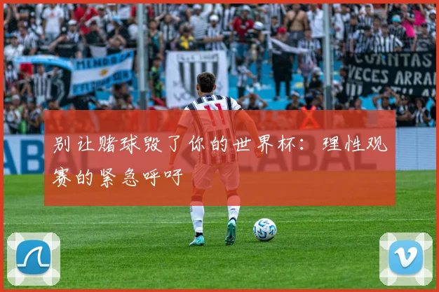 别让赌球毁了你的世界杯：理性观赛的紧急呼吁