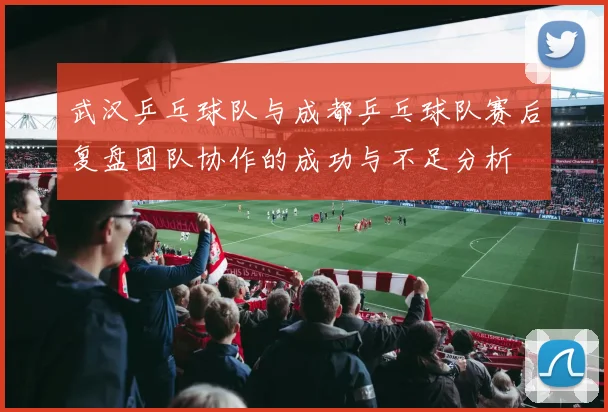 武汉乒乓球队与成都乒乓球队赛后复盘团队协作的成功与不足分析